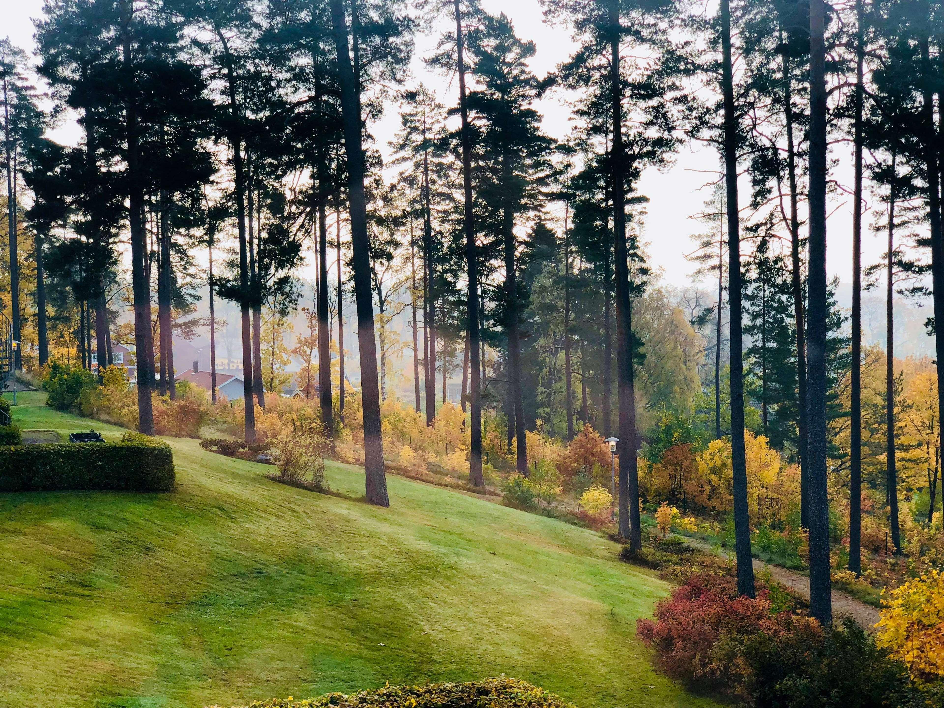 Best Western PLUS Casper Inn & Suites Eksteriør bilde